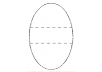 Oval lg - 495